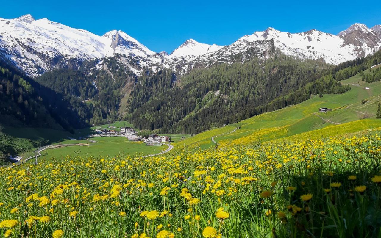 Landhaus Mader Hintertux Ngoại thất bức ảnh